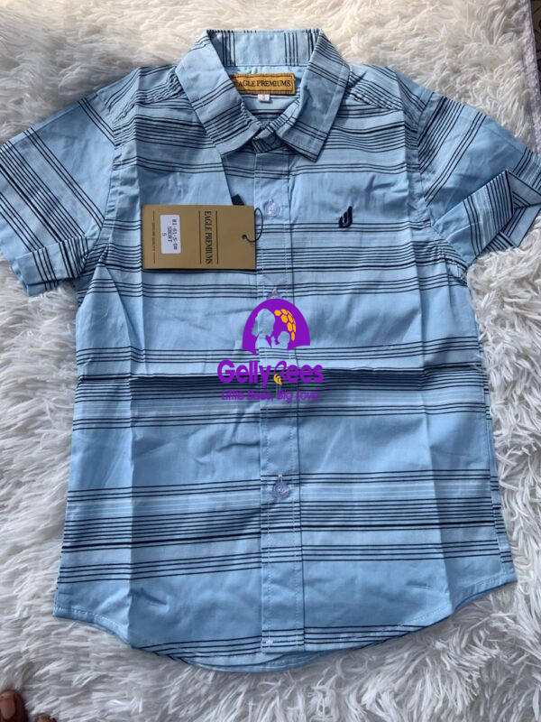 Stripped Blue Short Sleeve Shirt - 5 Years